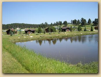 Gold Camp Cabins Кастер Экстерьер фото