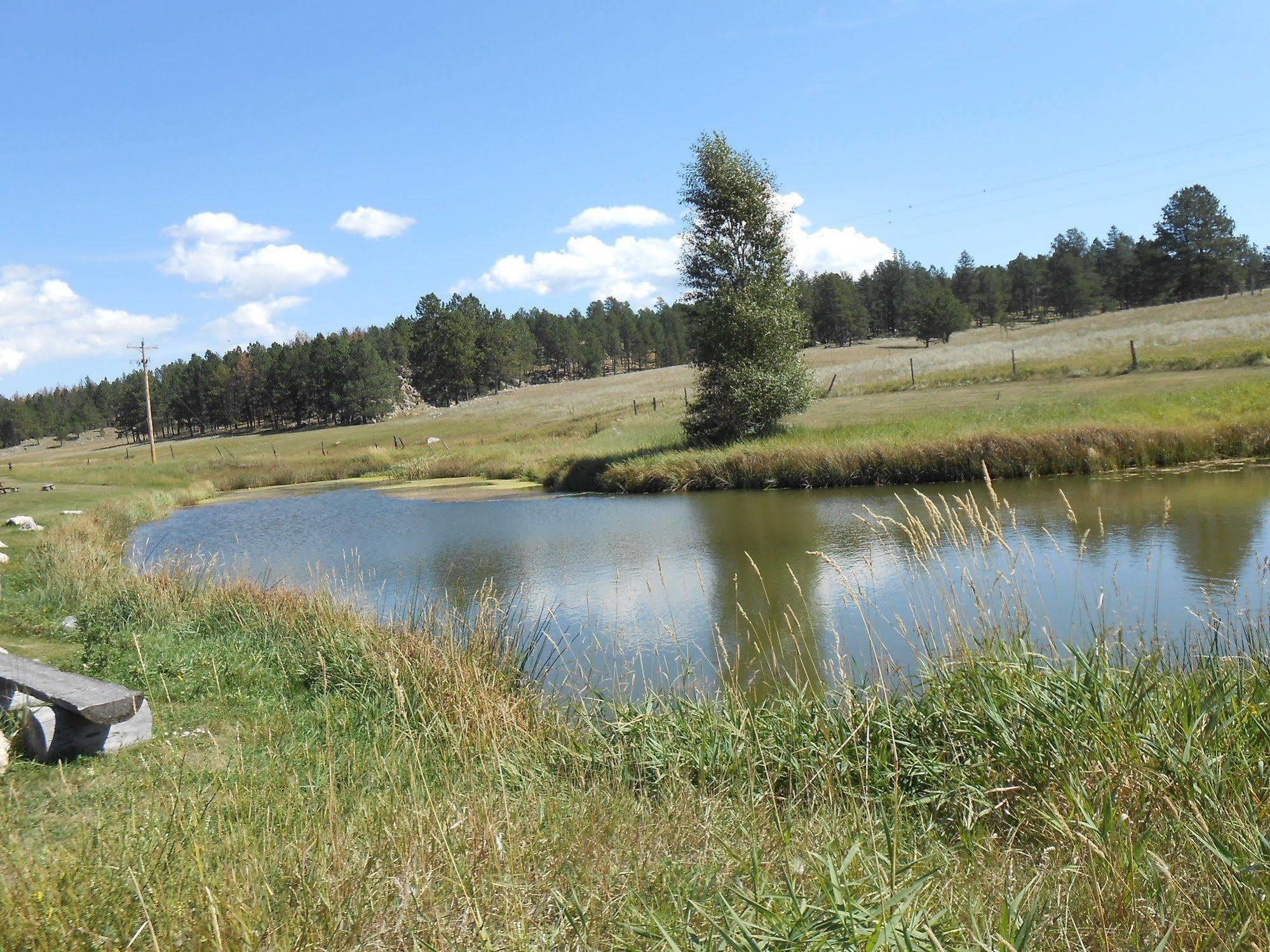 Gold Camp Cabins Кастер Экстерьер фото